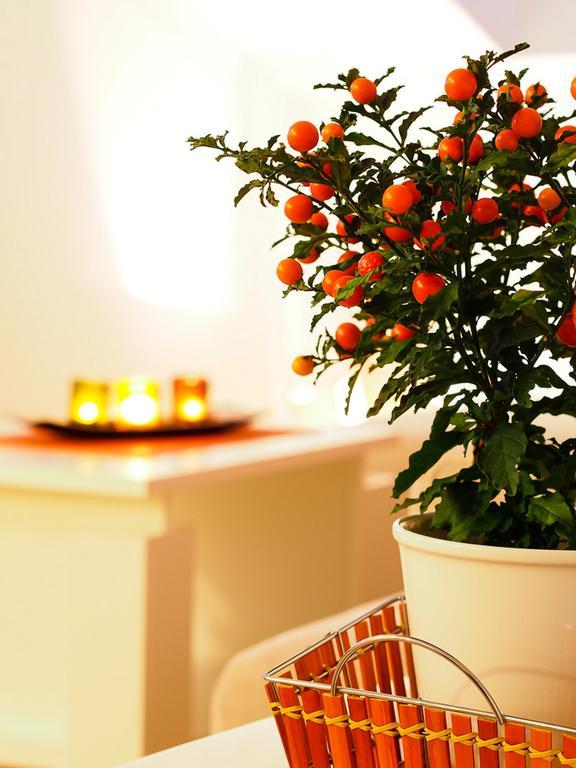Apartments Anuska Кавтат Екстериор снимка